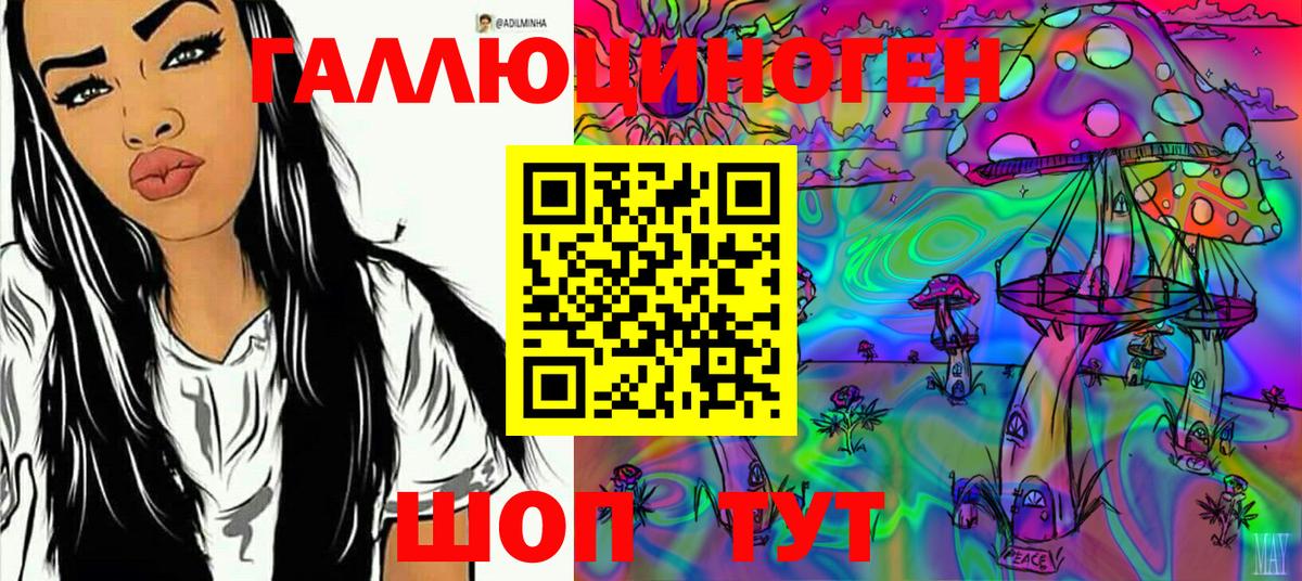 Галлюциногенные грибы Psilocybe Домодедово