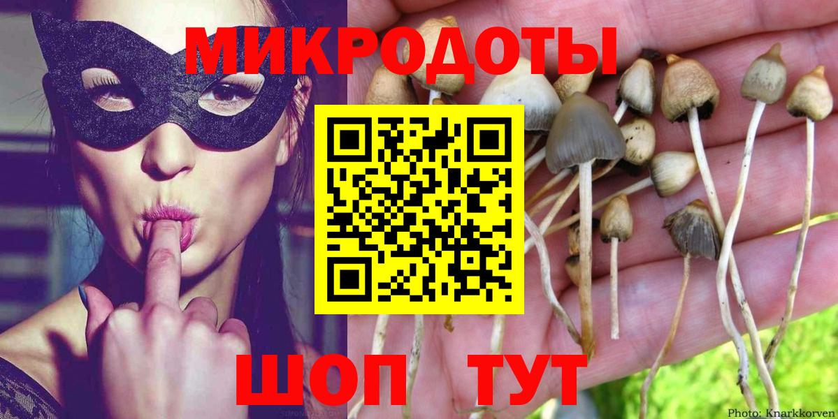Галлюциногенные грибы Psilocybine cubensis  Галлюциногенные грибы Magic Shrooms  Вход с VPN  Домодедово 
